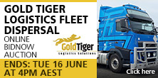 Gold_Tiger_2