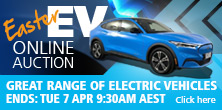 Easter EV auction