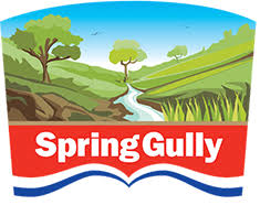 Spring Gully
